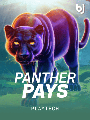 Panther Pays screenshot